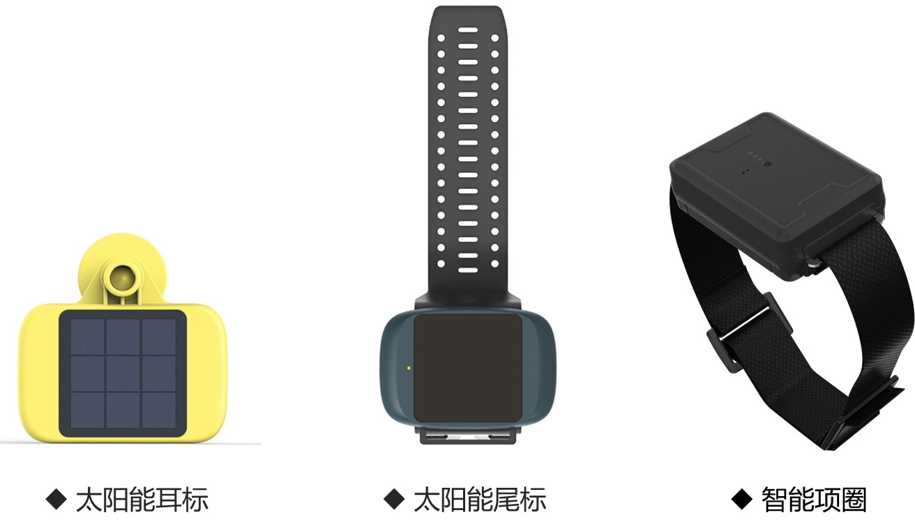 几米集团