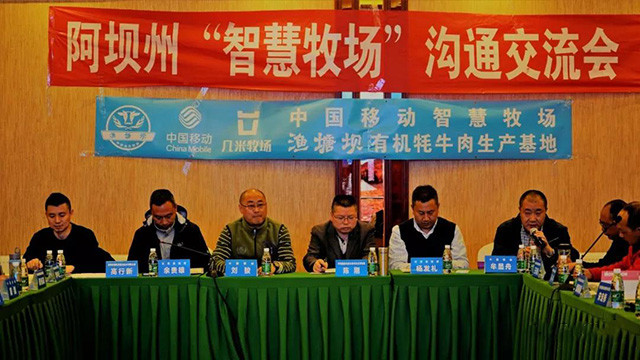 「智慧牧场」几米走进四川阿坝州，牧民收益翻了一番