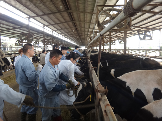 「几米智慧牧场」动物疫情来临，做好疫苗严控，确保畜禽产品卫生安全