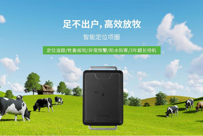 「gps牛羊定位器」怎样选购牛羊项圈/耳标追踪器？