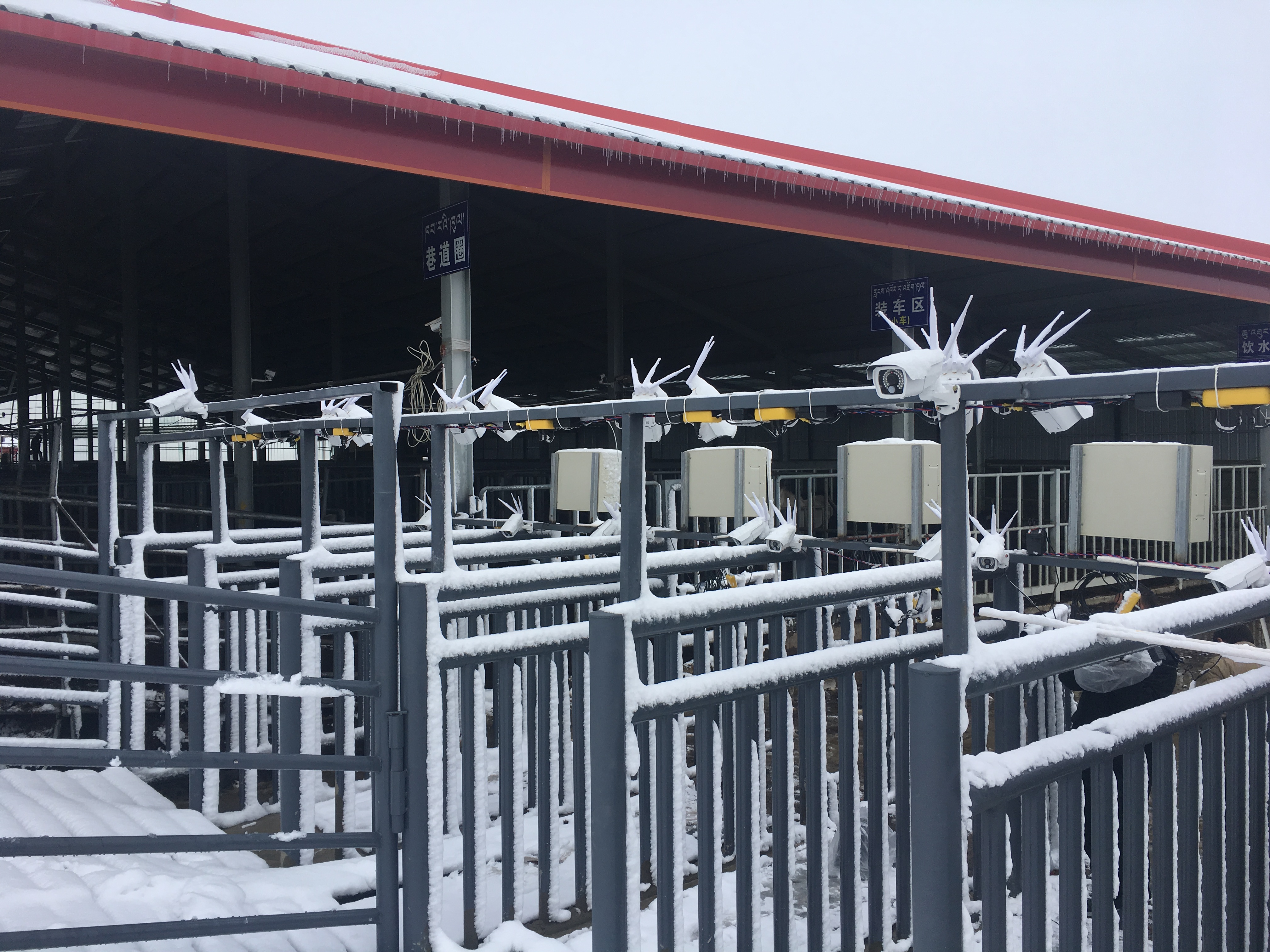 「牛羊gps定位器」4G户外太阳能摄像头为智慧牧场提供更好的安全保障