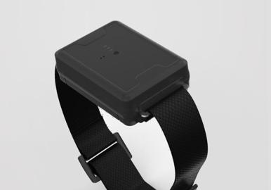 「牛羊定位器」牛、羊等经济型散养畜牧业的定位放牧管理