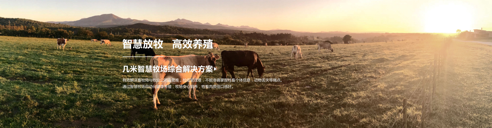 「动物定位终端」区块链如何保障食品安全做到真正的透明可溯源？