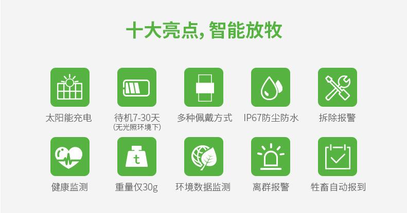 「动物GPS定位器」赋能骆驼养殖业，沙漠放养也不怕