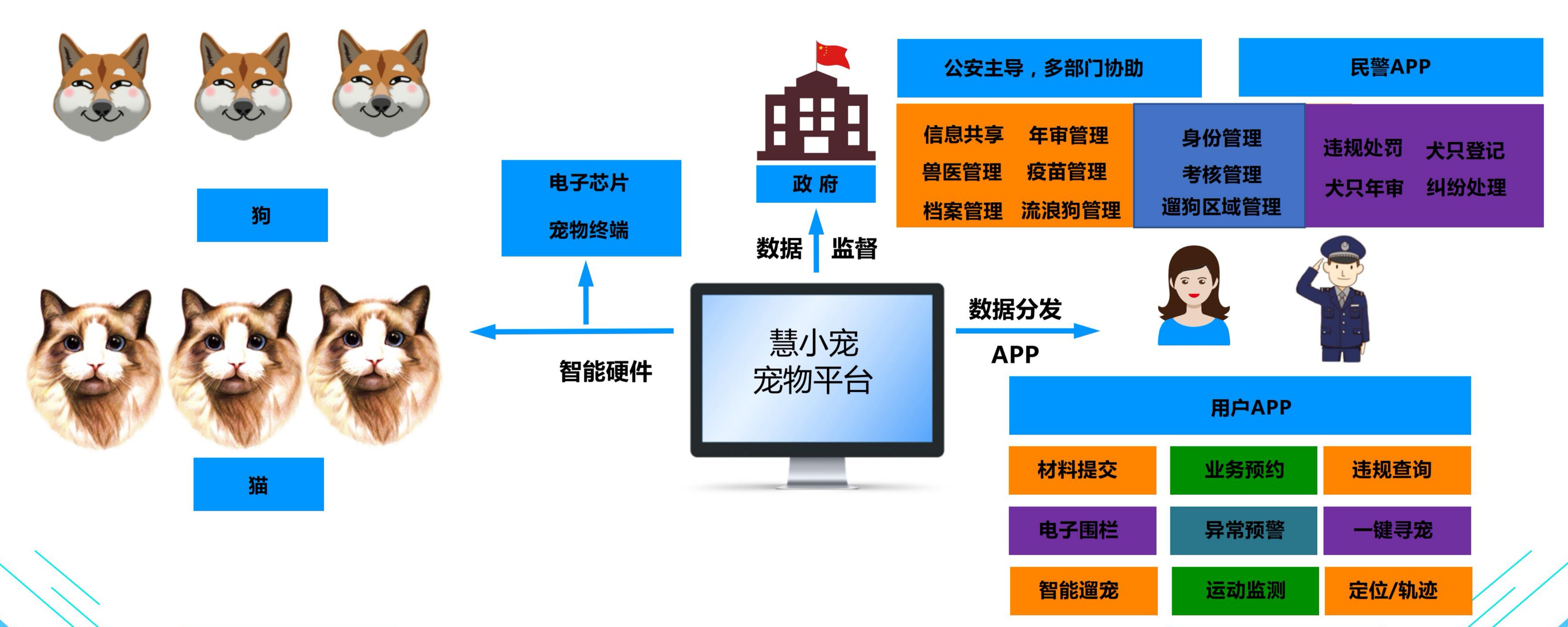 共抗疫 | 花好月圆人团圆，疫情过去皆平安