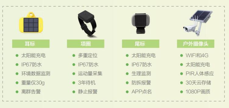 野生动物GPS跟踪方案，拒绝野味，停止买卖，保护野生动物