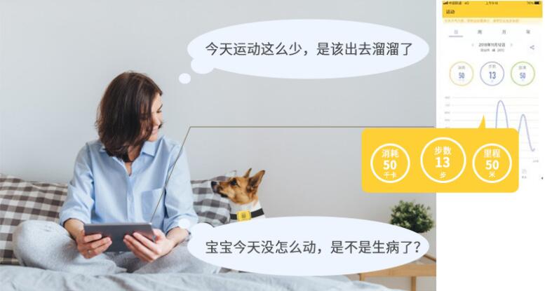 几米宠物智能GPS定位方案，既防丢失又防肥胖，造福铲屎官