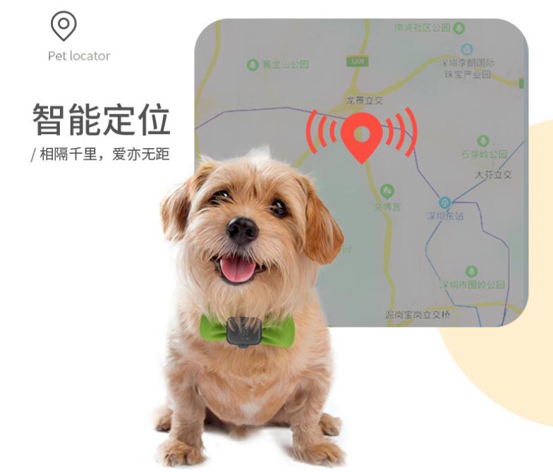 宠物丢失寻回无法证明？宠物GPS定位器给你的宠物一张专属身份证