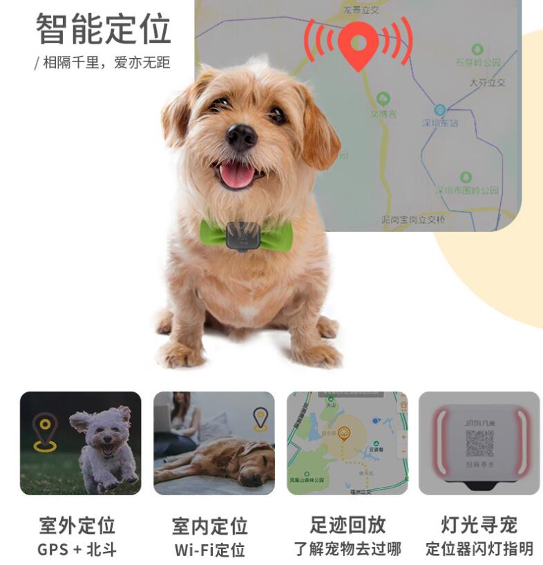 宠物gps定位器有用吗？哪种好用？
