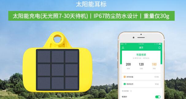 智慧牧场解决方案，助力政府打造科技示范基地