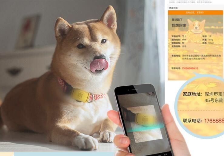 宠物智能定位项圈是如何激活智能穿戴市场？